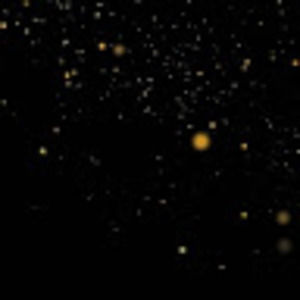 Meet your Posher, Aaliyah